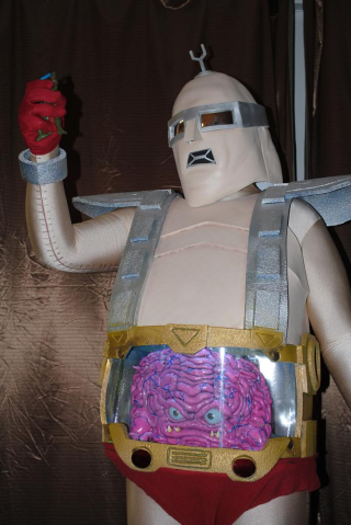 Illustration for article titled Gandalf the Fuchsia, Pet-o-ween and Krang, all on io9's Costume Show